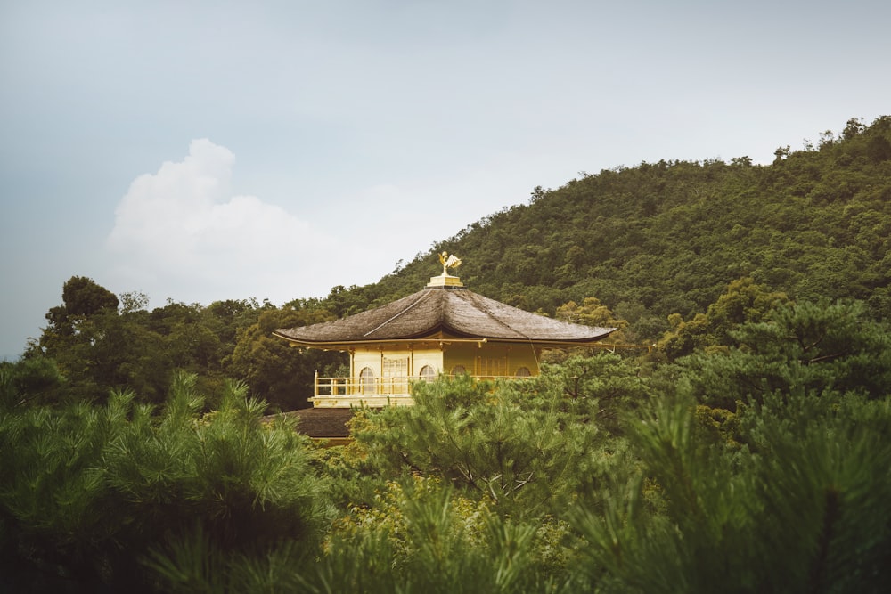 house in a hill near plants during daytime