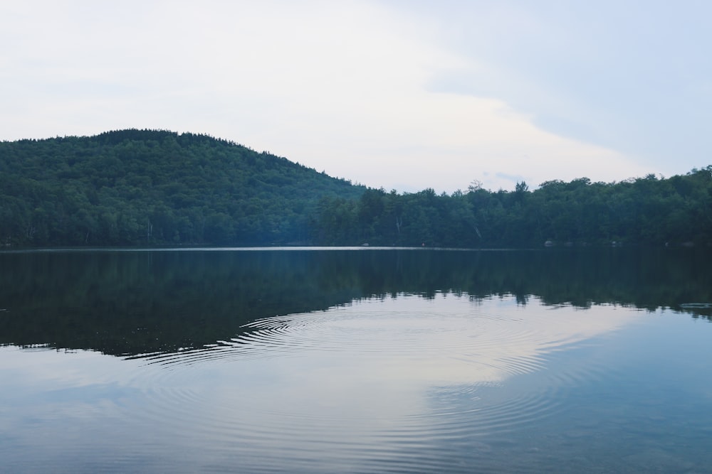 hill near body of water during daytime