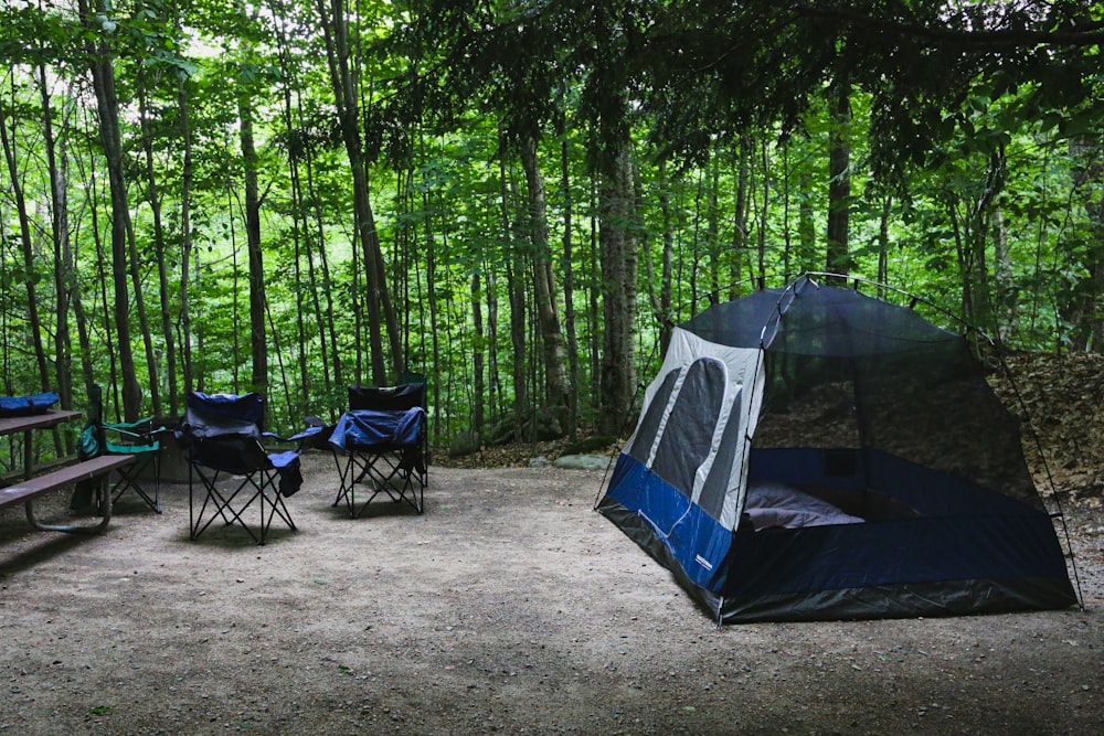 木々に囲まれた青と白のドームテントとキャンプチェア