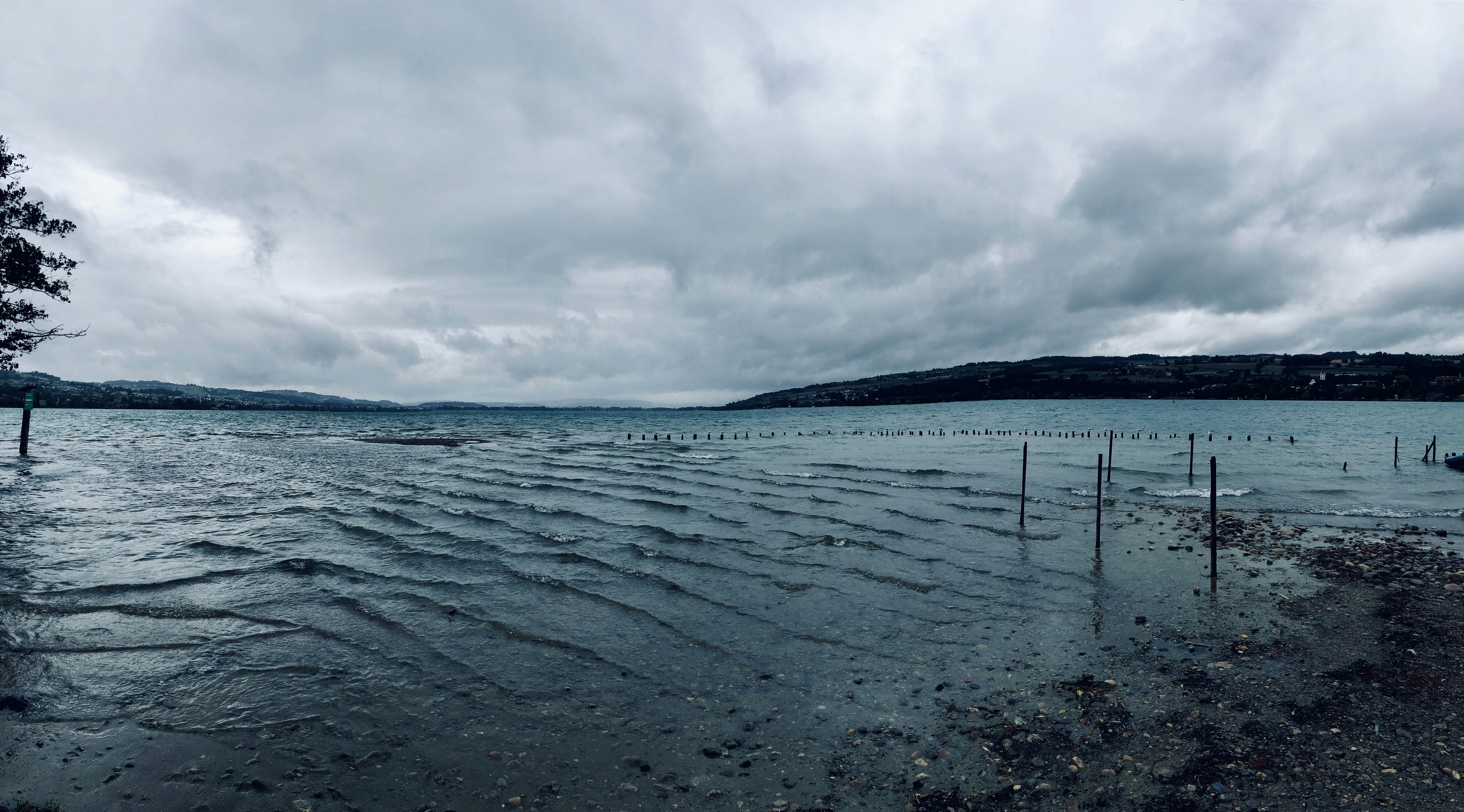 Photo by micha_portmann