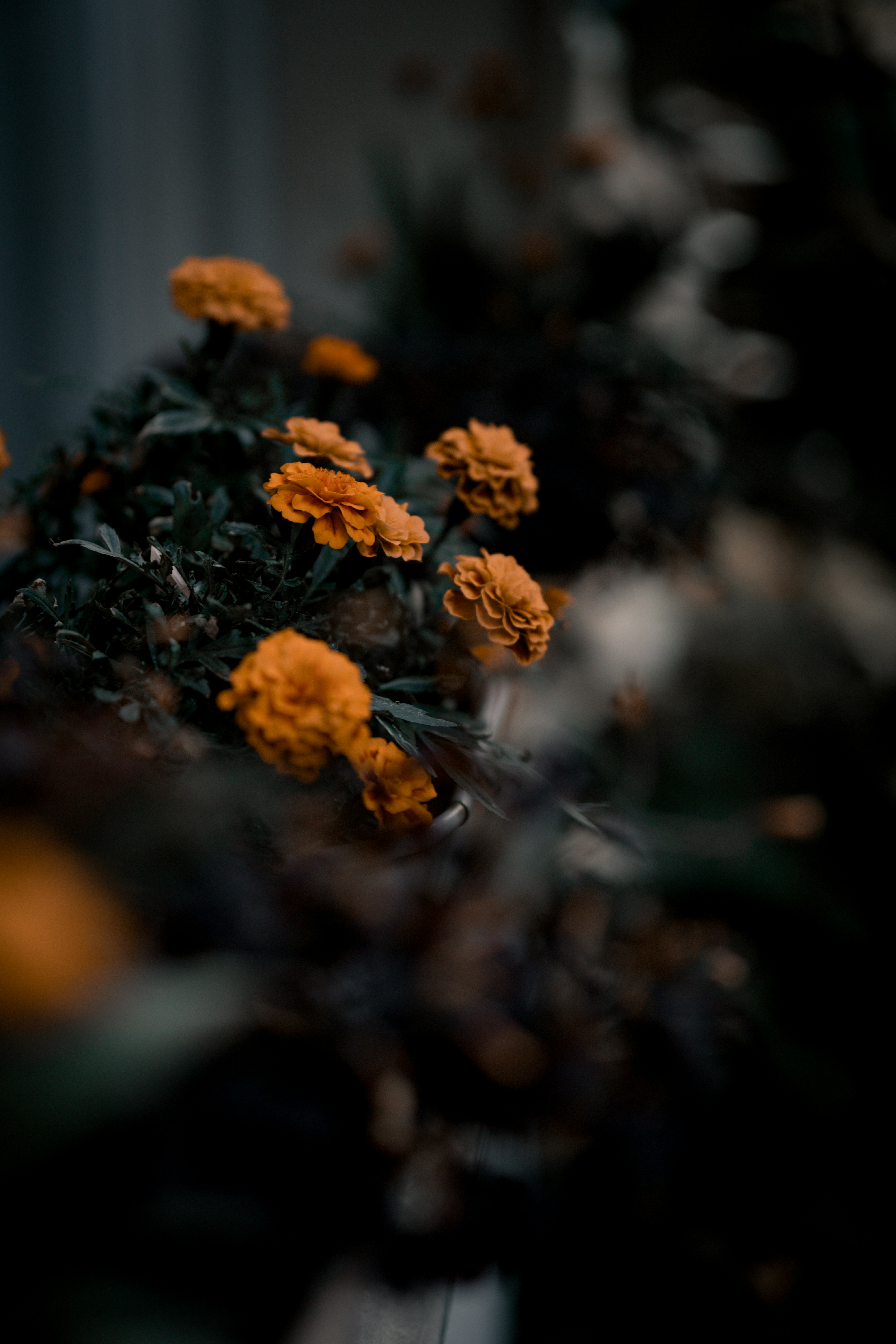 Photo by paulsteuber