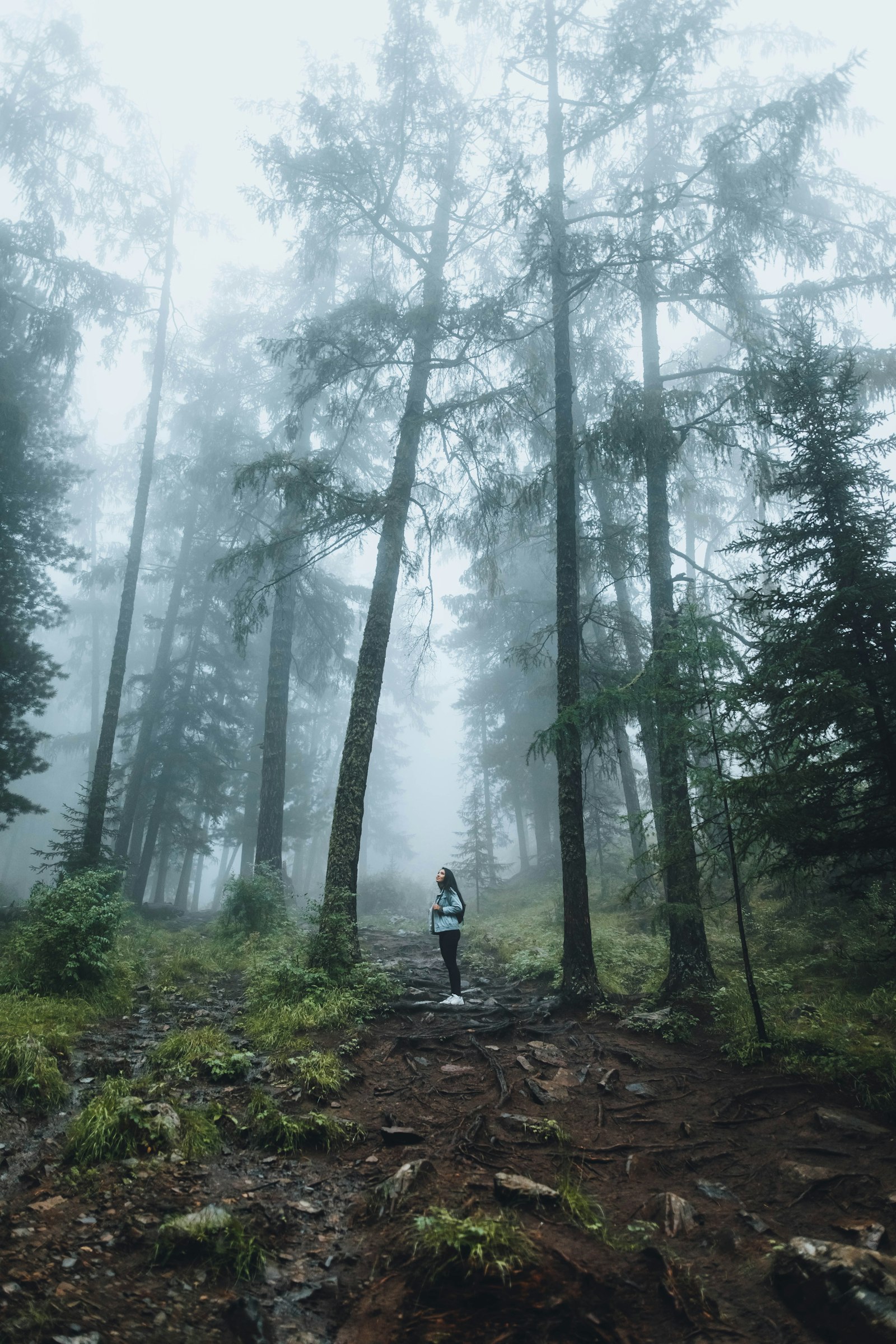 Canon EOS 5D Mark IV + Sigma 24-35mm F2 DG HSM Art sample photo. Person standing in jungle photography