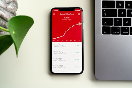 A smartphone displaying subscriber statistics with a rising graph and specific numbers on a red background sits on a desk beside a silver laptop. A green plant leaf is partially visible on the left side of the image.