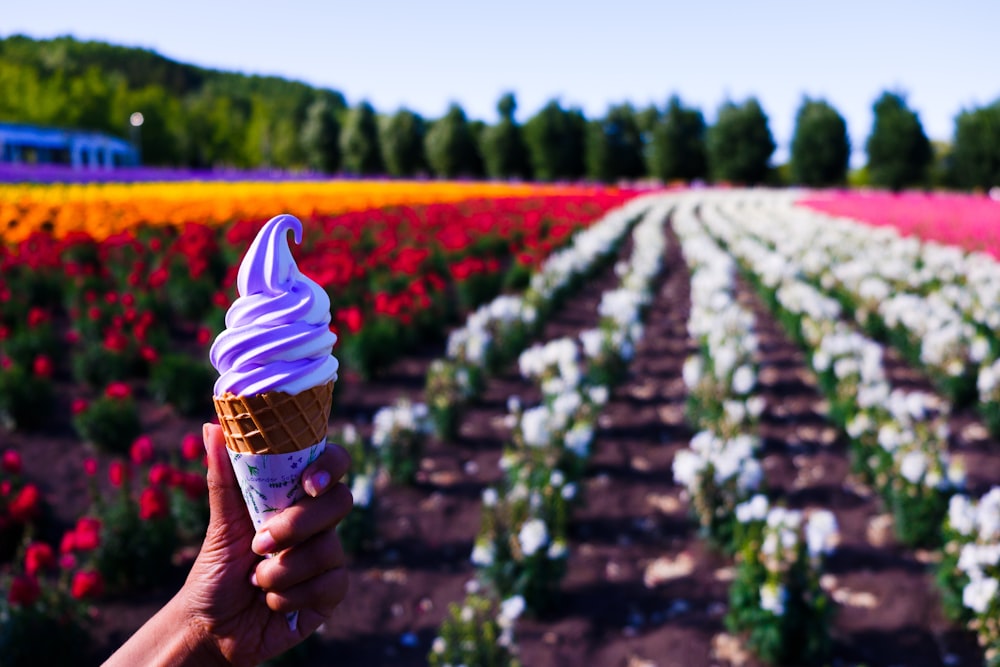 purple and white ice cream with cone close-up photography