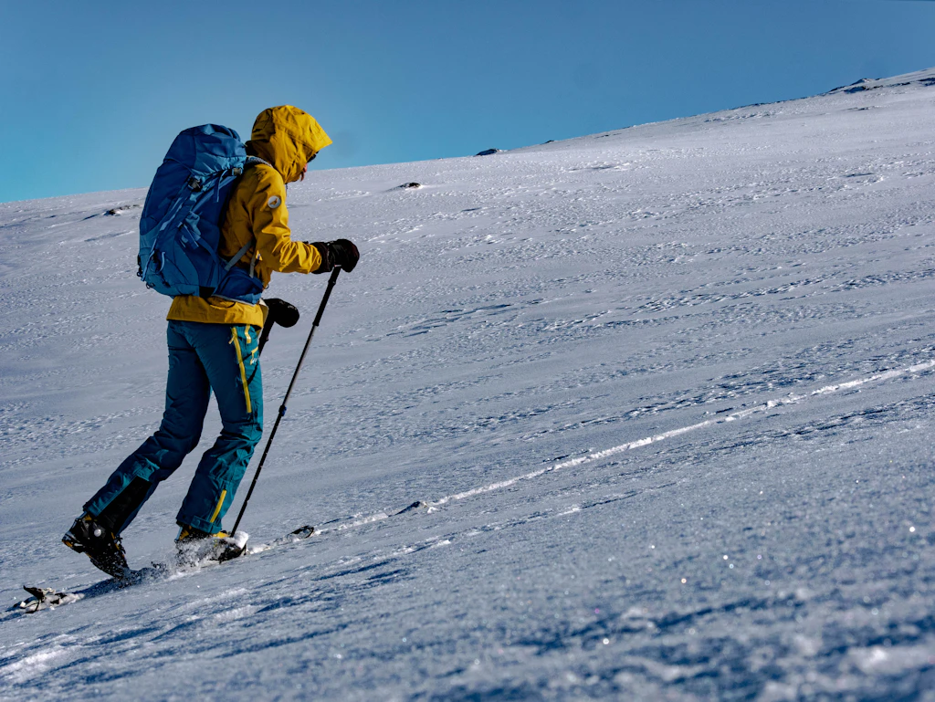 Winterlandschaft mit Skiern – Periodisierung der Wintermonate
