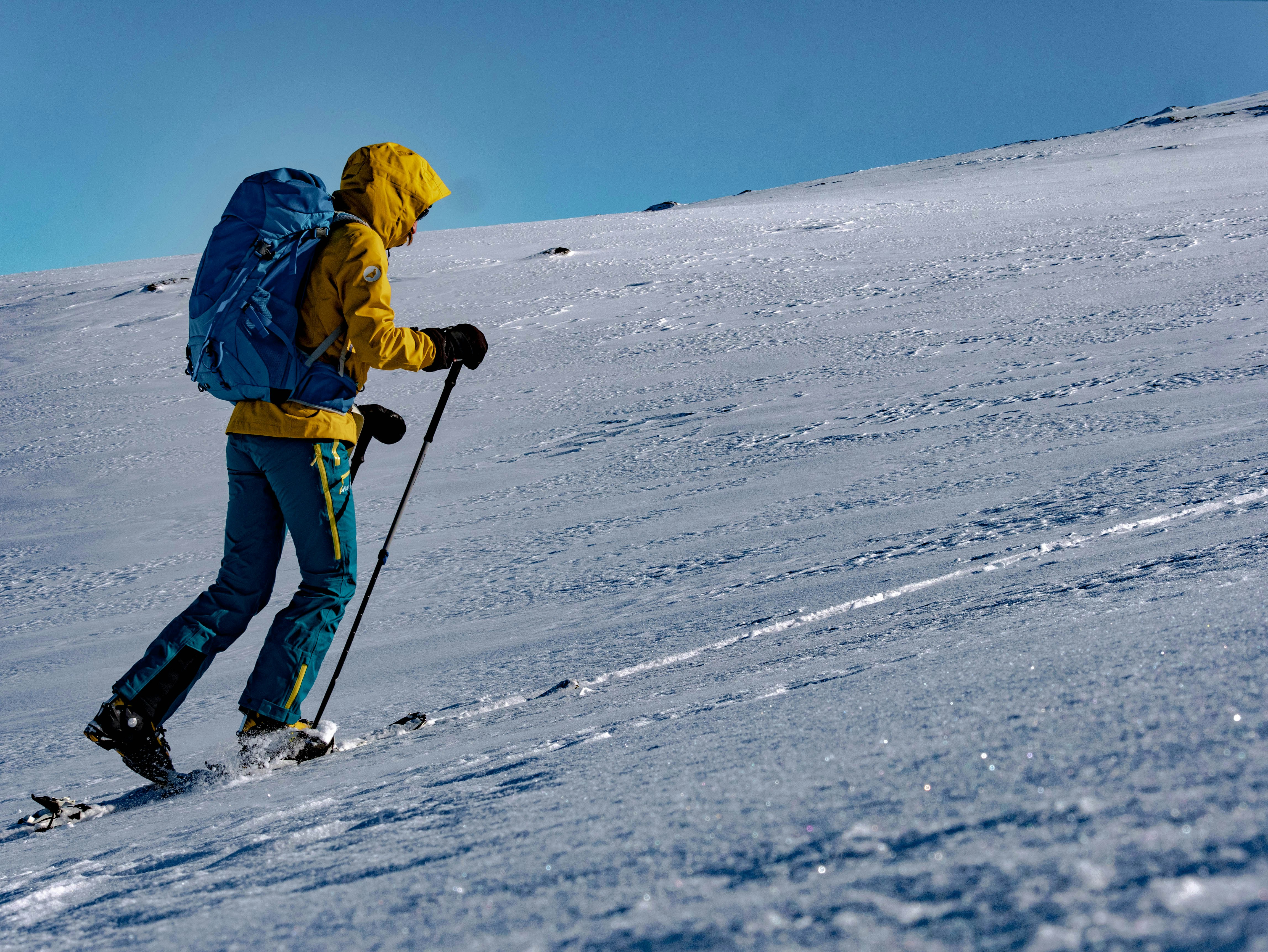Ski de. Лыжи " турист ". Взлет желтого на лыжах. Ski Mountaineering. Ski Touring.