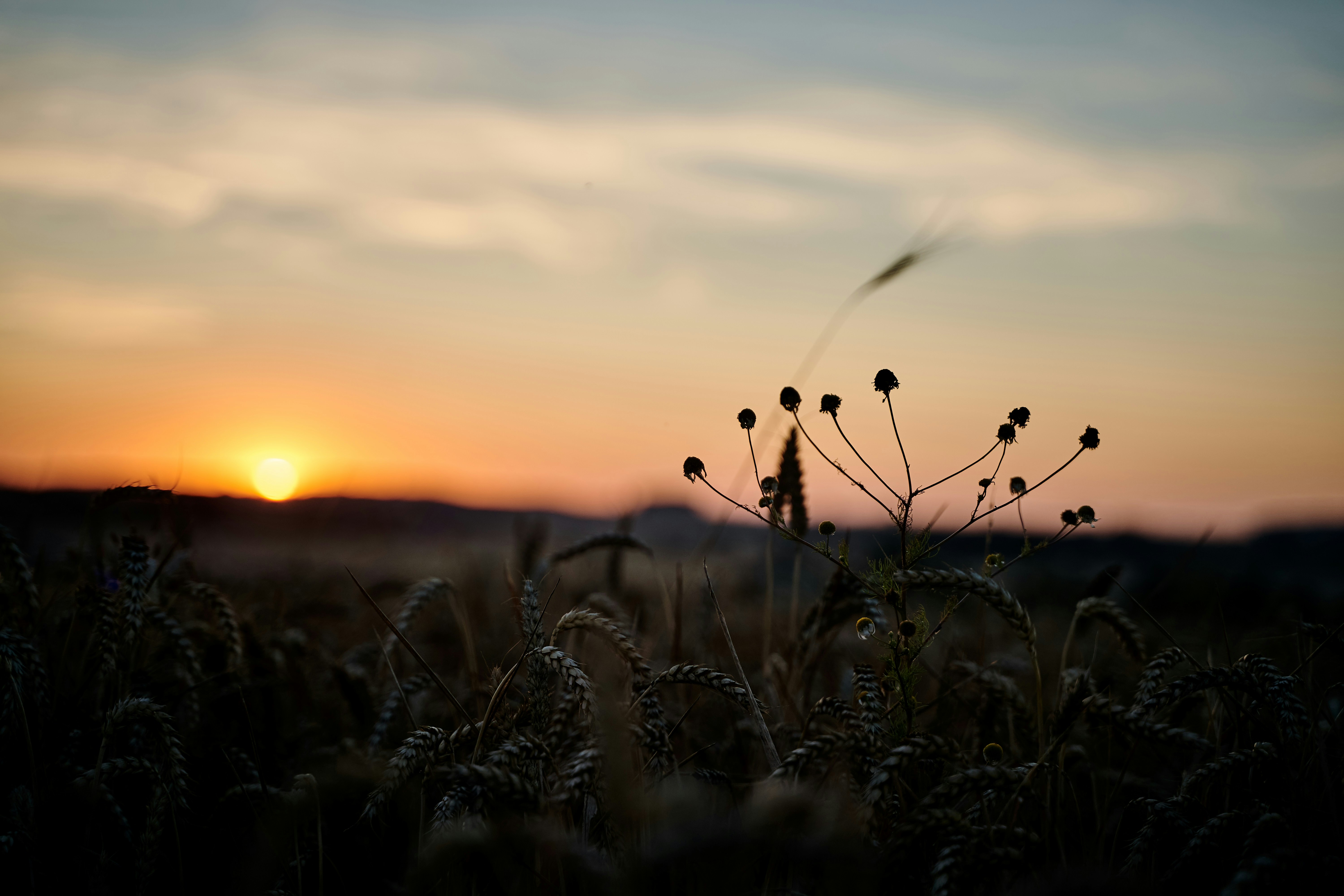 Photo by jhvisuals_de