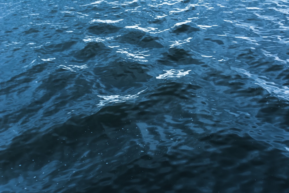 wavy body of water during daytime