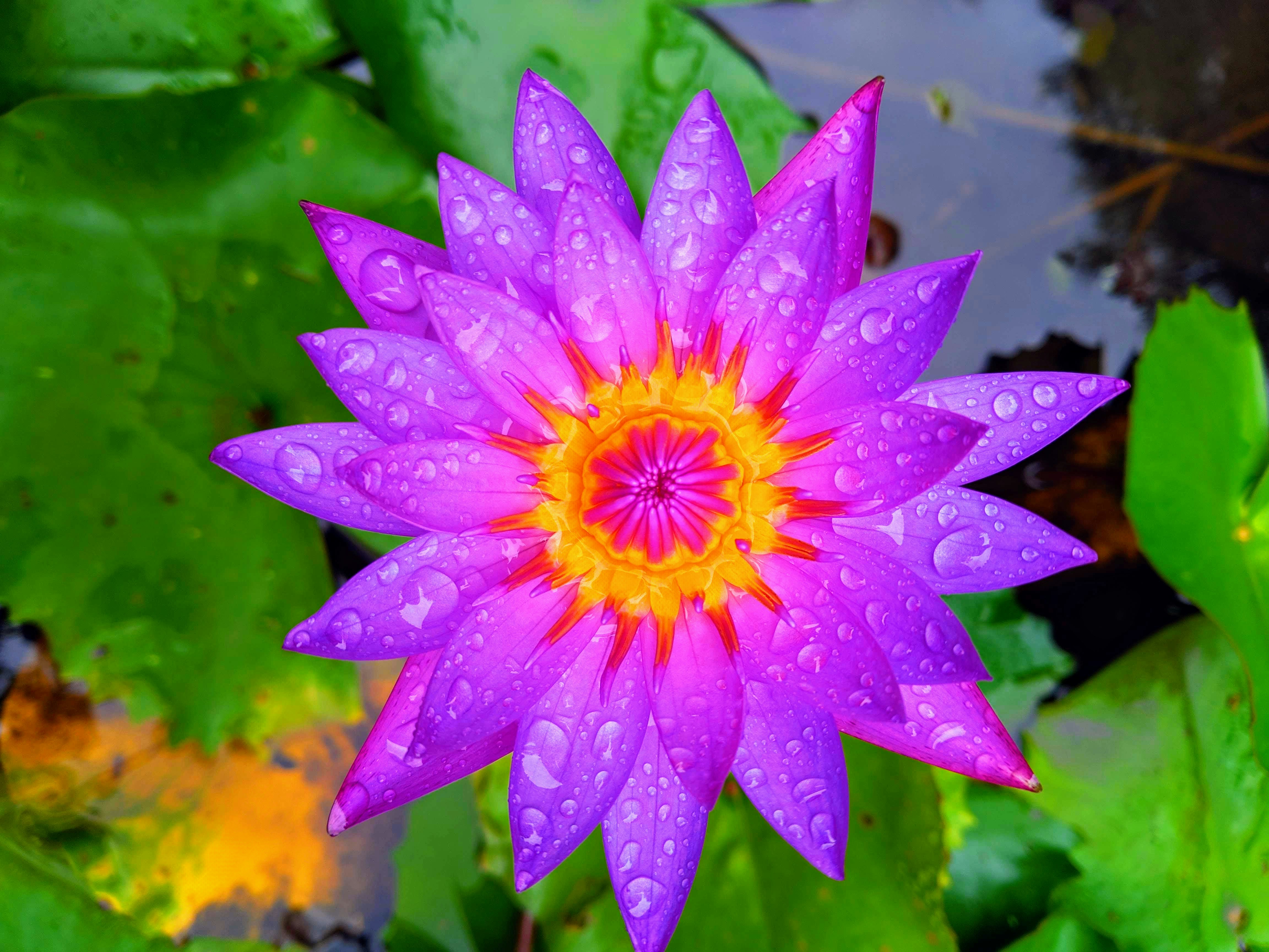 Photo by montusahu15