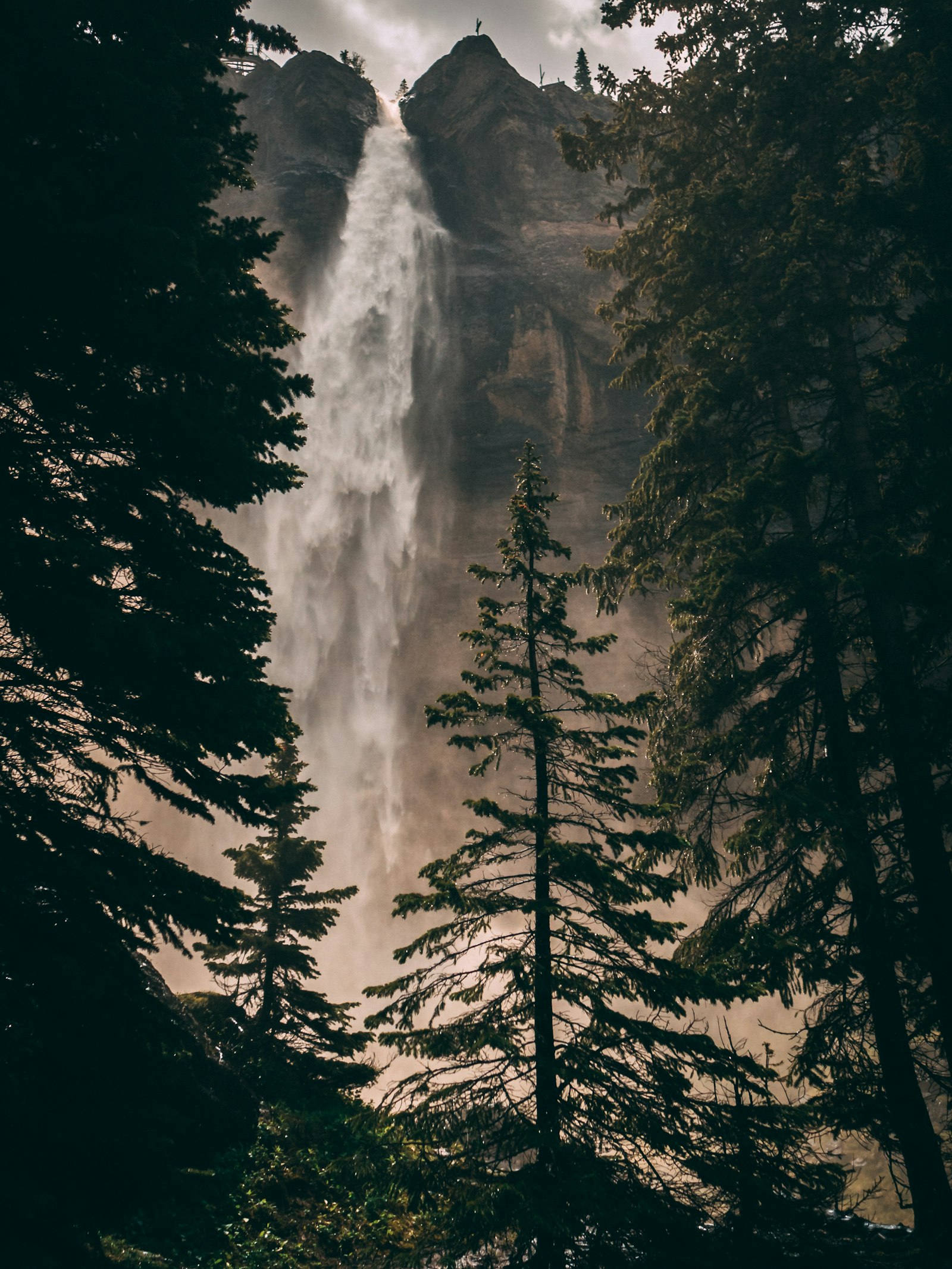 Sigma 16mm F1.4 DC DN | C sample photo. Waterfall behind pine trees photography