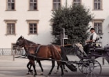 A traditional horse-drawn carriage moving through a Flemish countryside village.