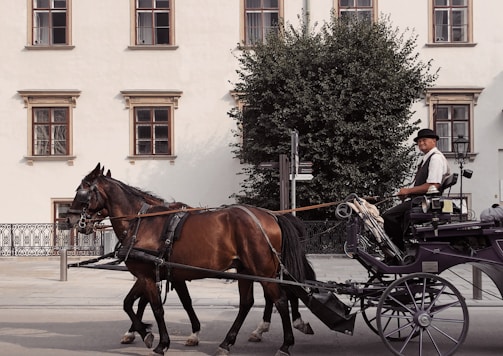 A traditional horse-drawn carriage moving through a Flemish countryside village.