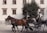 A traditional horse-drawn carriage is being driven by a man wearing a hat and a vest. Two brown horses are pulling the carriage along a cobblestone street. The background features a historical building with multiple windows and a lush green tree, suggesting a quaint and timeless urban setting.