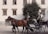 A traditional horse-drawn carriage is being driven by a man wearing a hat and a vest. Two brown horses are pulling the carriage along a cobblestone street. The background features a historical building with multiple windows and a lush green tree, suggesting a quaint and timeless urban setting.