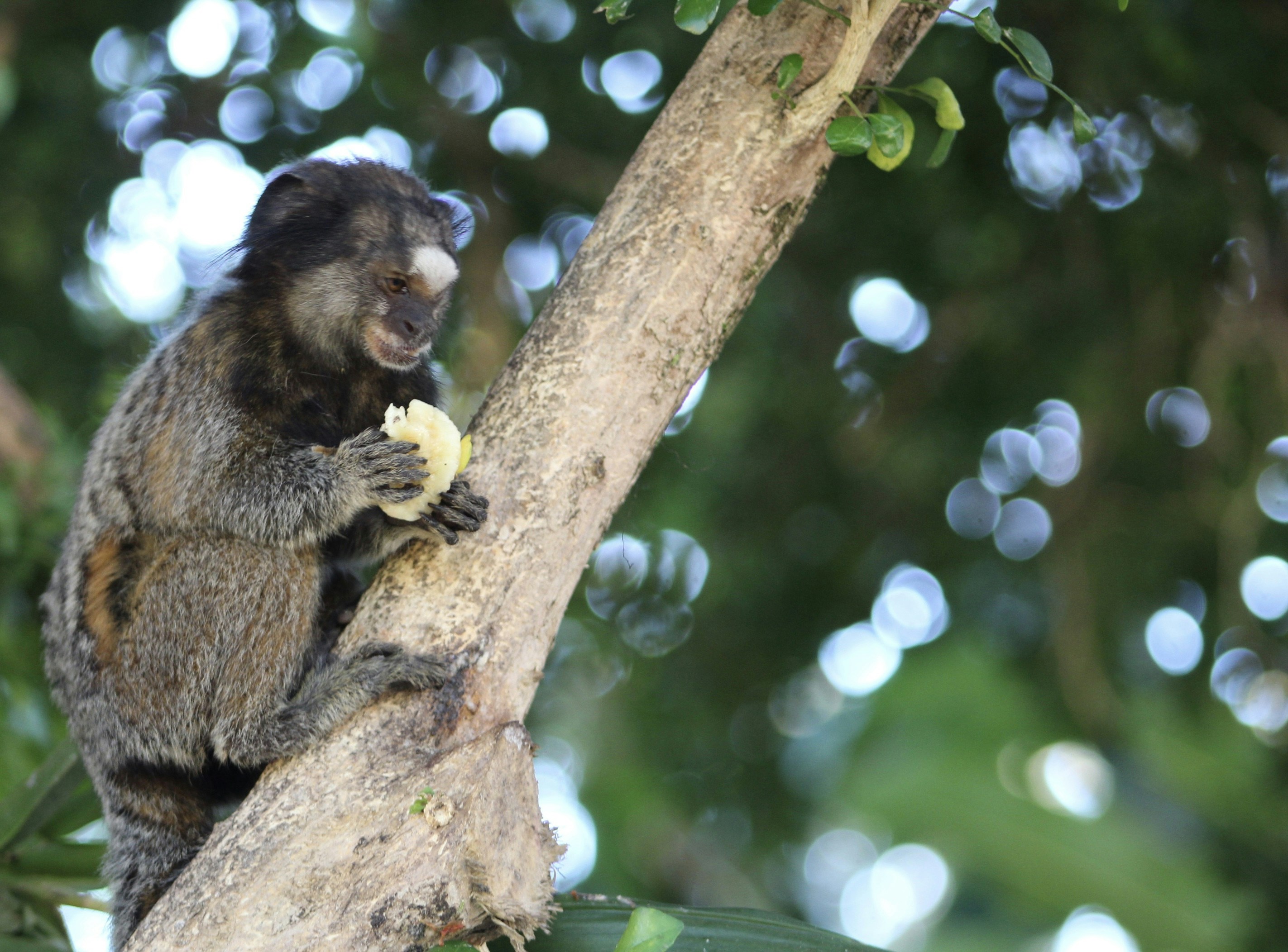 Photo by carmelita_rodrigues