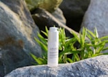 A white cylindrical skincare bottle stands on a large stone, surrounded by greenery. The background is composed of rocks and vibrant green leaves, suggesting a natural setting.
