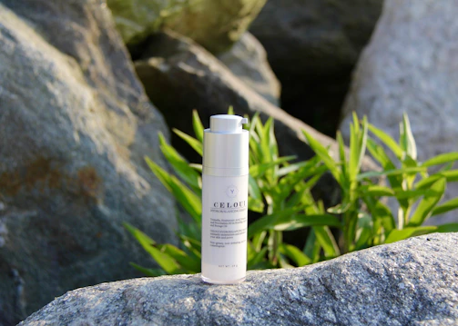 Vasigra Vita’s Form & Shape Oil displayed with smooth stones and green leaves, evoking natural wellness.