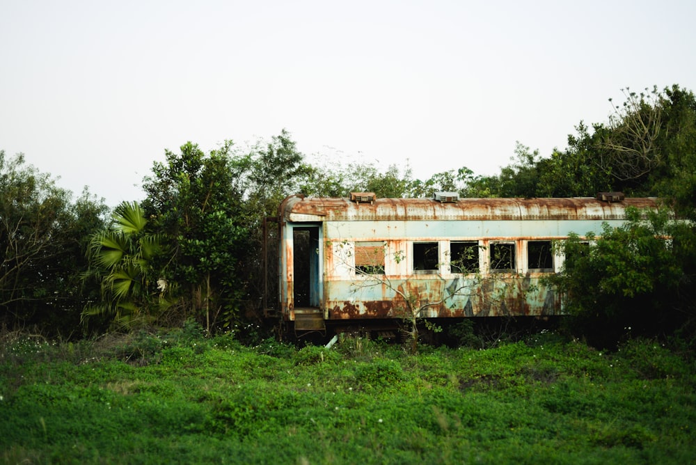 white and brown abandoned bus surrounded with tall and green trees