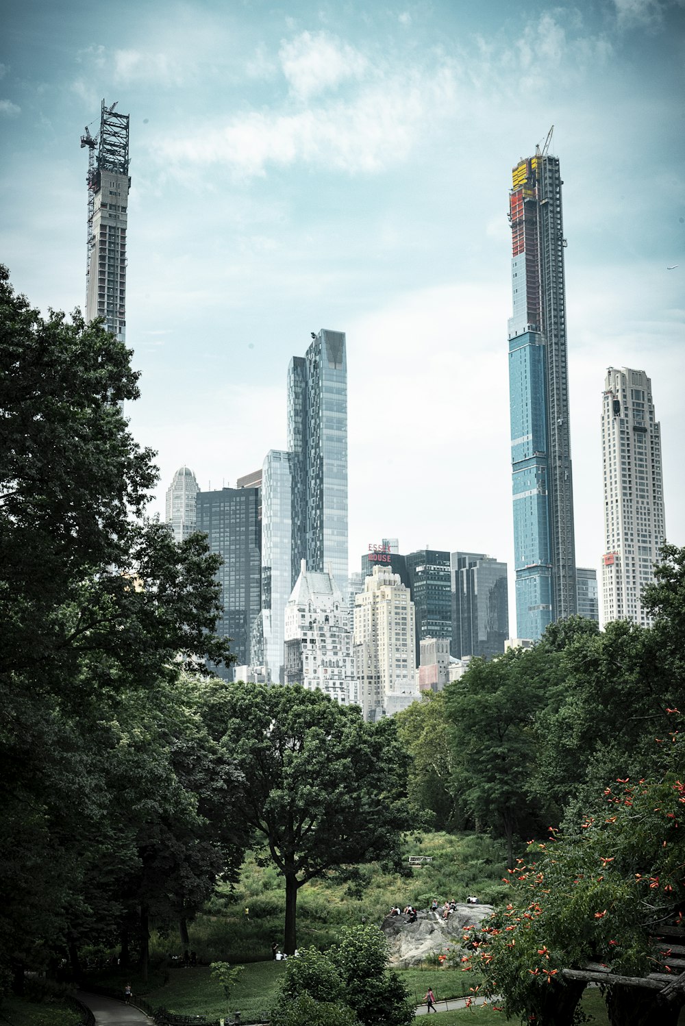 green trees near buildings at daytime