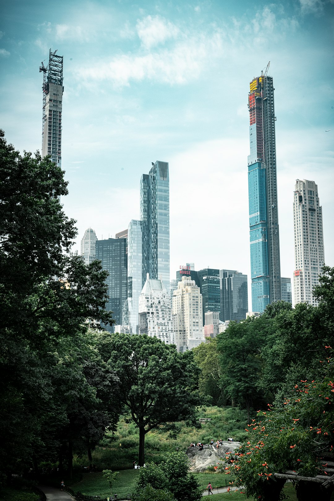 green trees near buildings at daytime