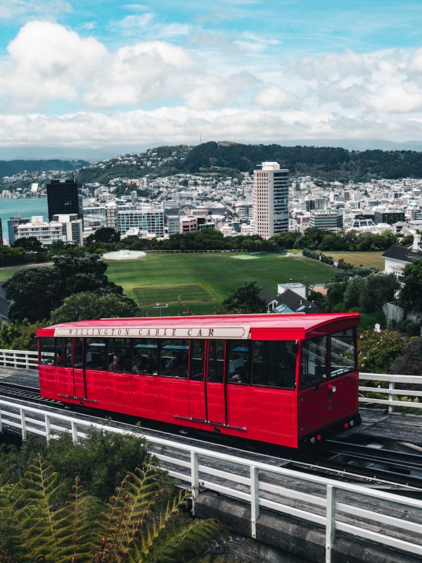 Discovering Wellington: Local Culture & Traditions