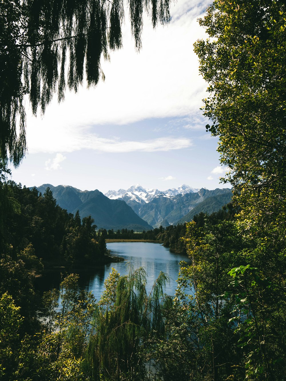 lake and trees