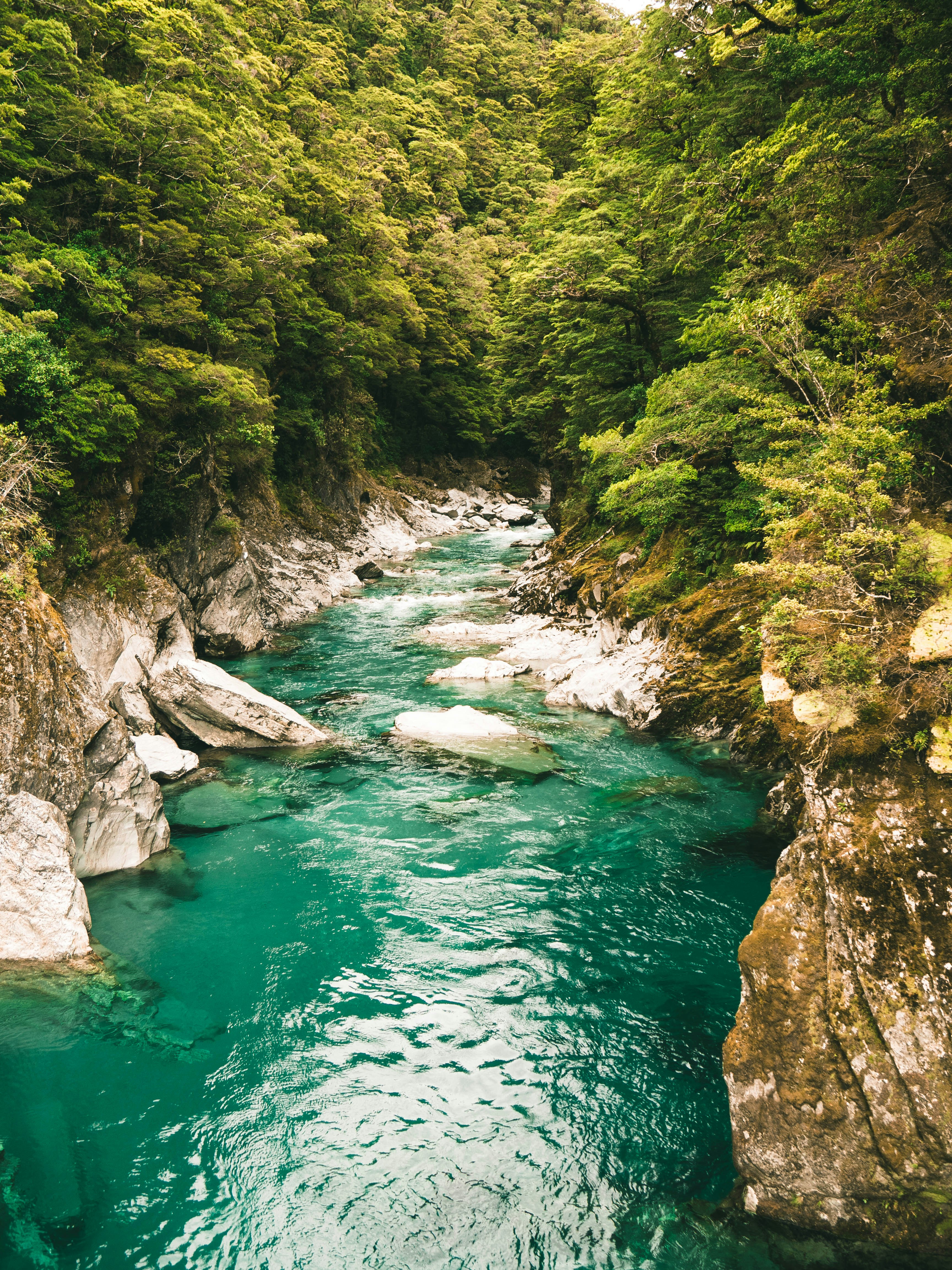 Photo by chn_photography