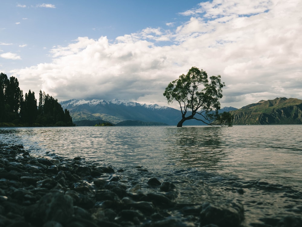 calm body of water during daytime