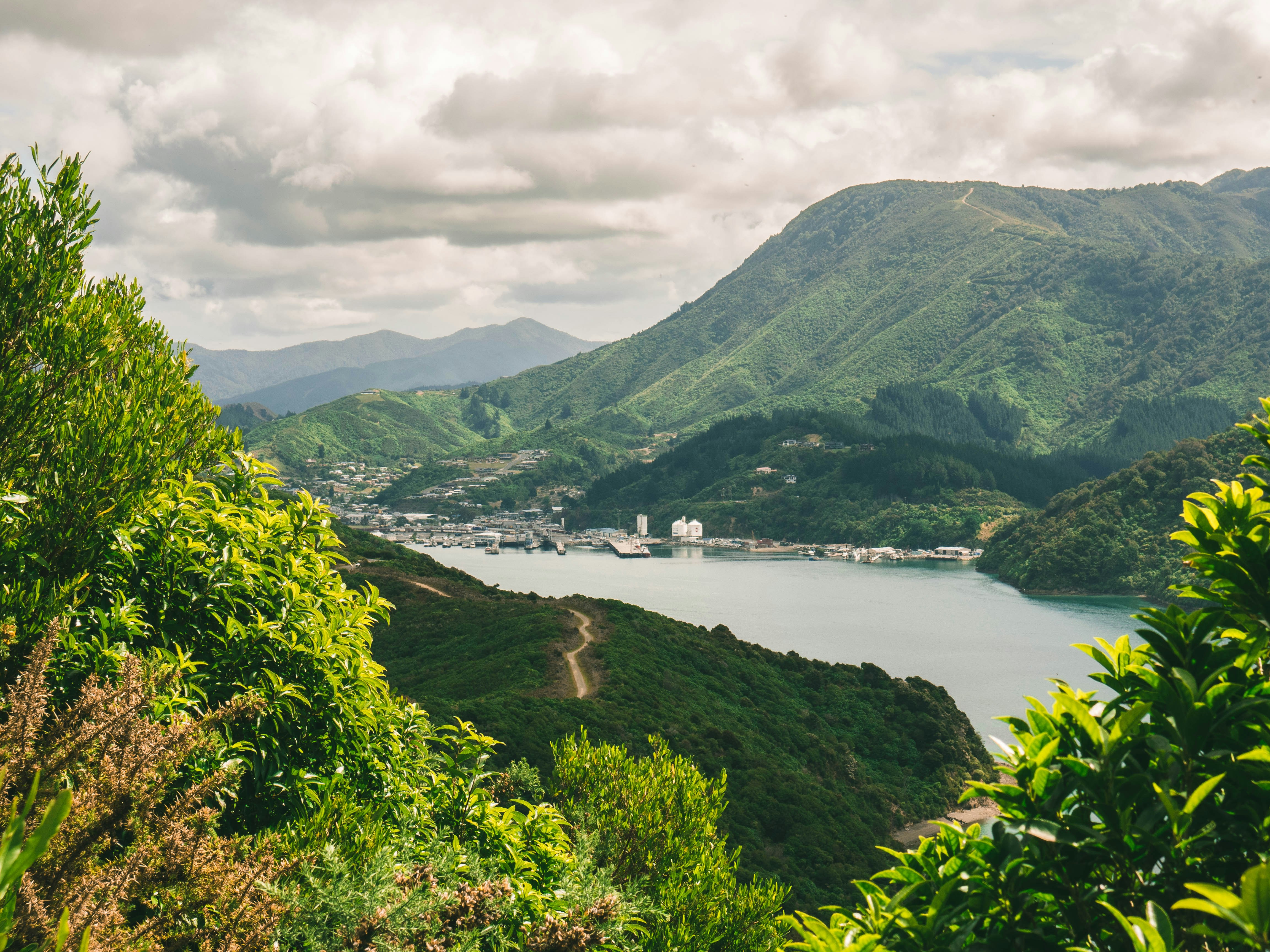 Photo by chn_photography