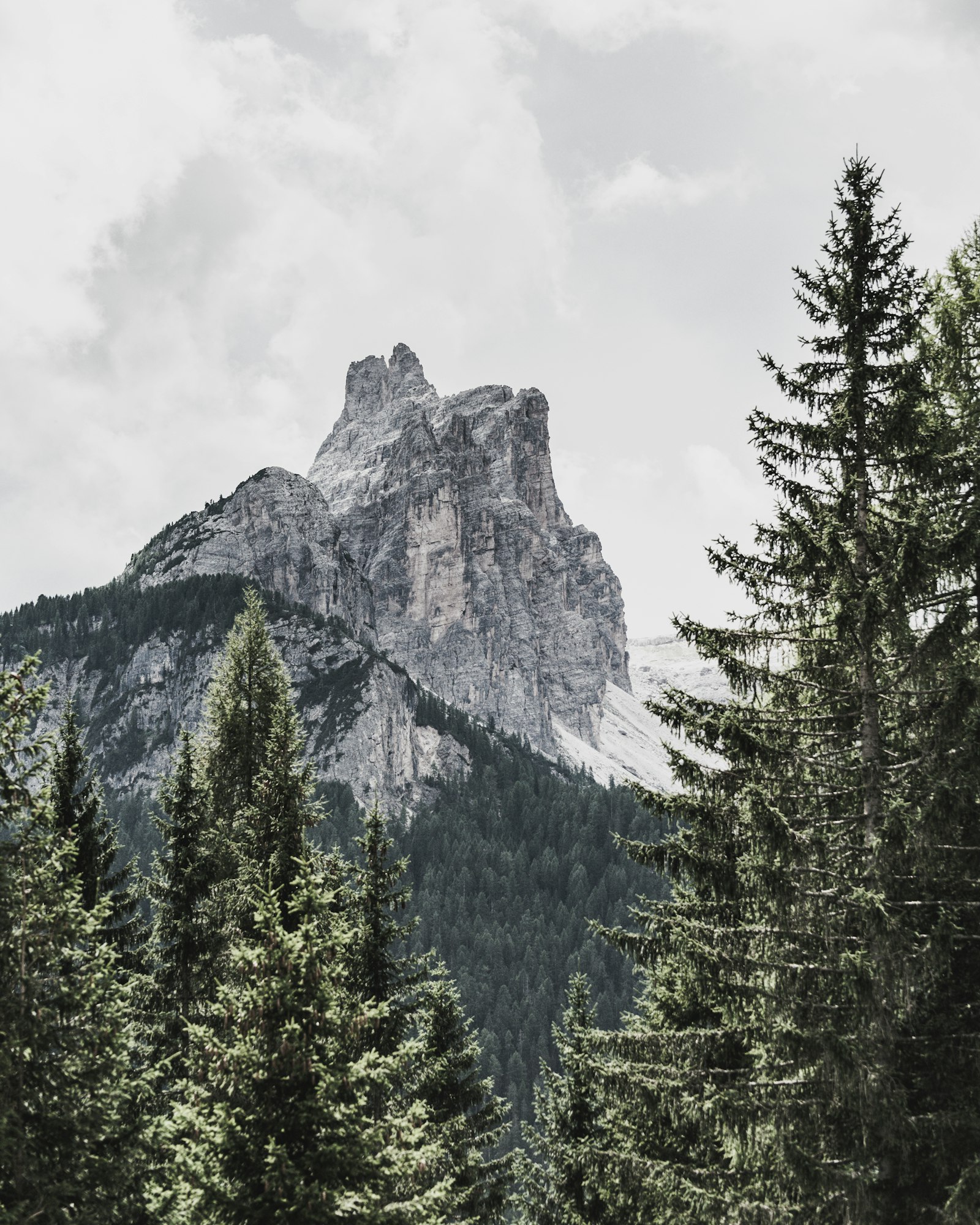 Nikon D800 + Nikon AF-S Nikkor 70-300mm F4.5-5.6G VR sample photo. Mountains near trees photography