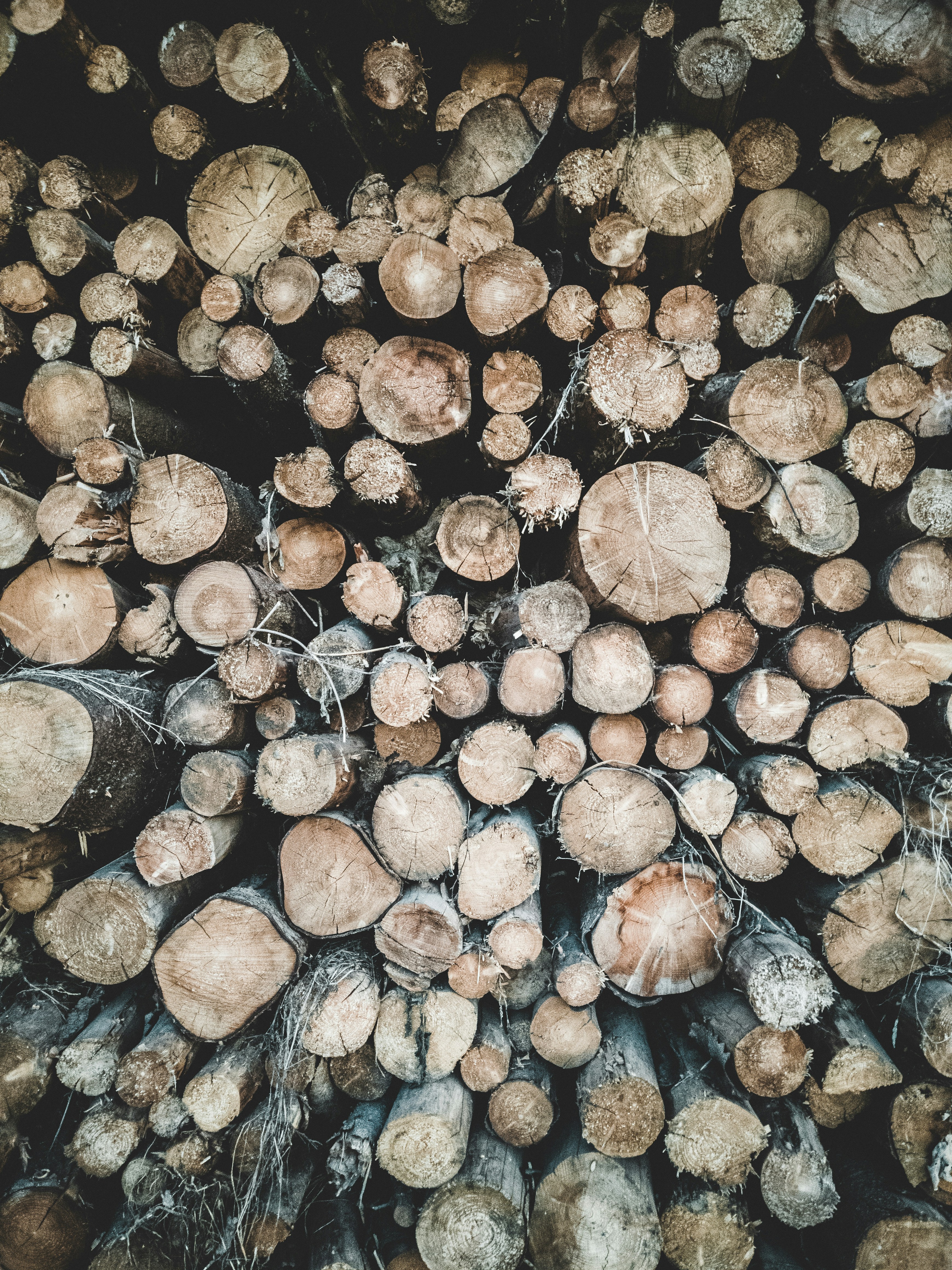 Took this snap with my phone while riding with the bike. 