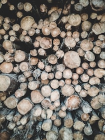 Stacked MDF pieces showcasing various shapes and designs ready for finishing touches.