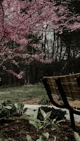 A bench sits in a tranquil garden setting surrounded by lush green vegetation. A vibrant tree with pink blossoms extends its branches in the foreground, while dense woods are visible in the background.