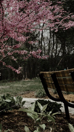 A curved bench nestled under a blooming tree, inviting for a quiet moment