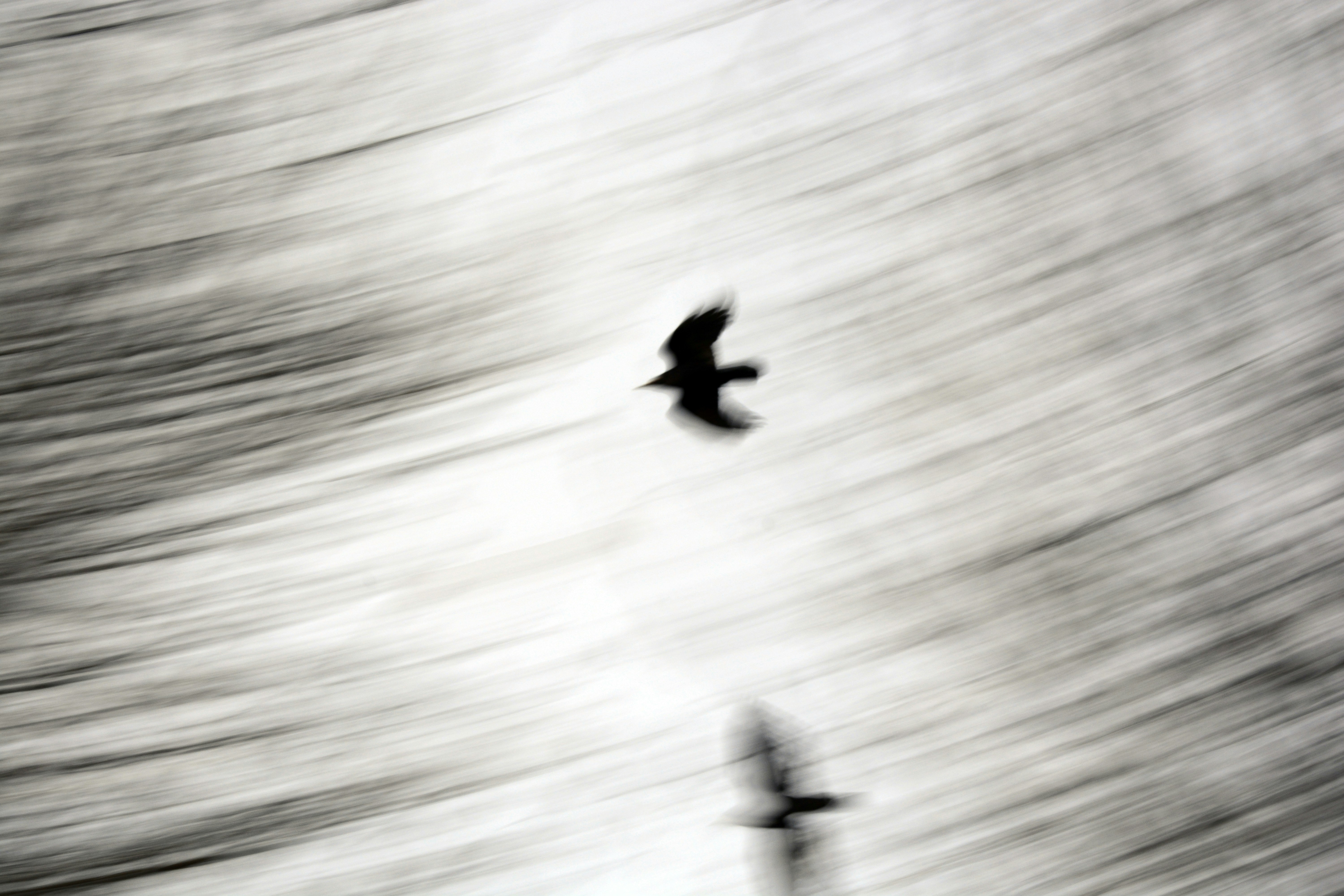 Photo by sajjad_aslani