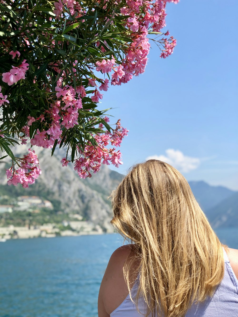 shallow focus photo of person beside pink flowers in front of body of water during daytime
