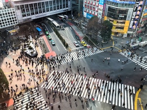 aerial photography of people walking on road during daytime