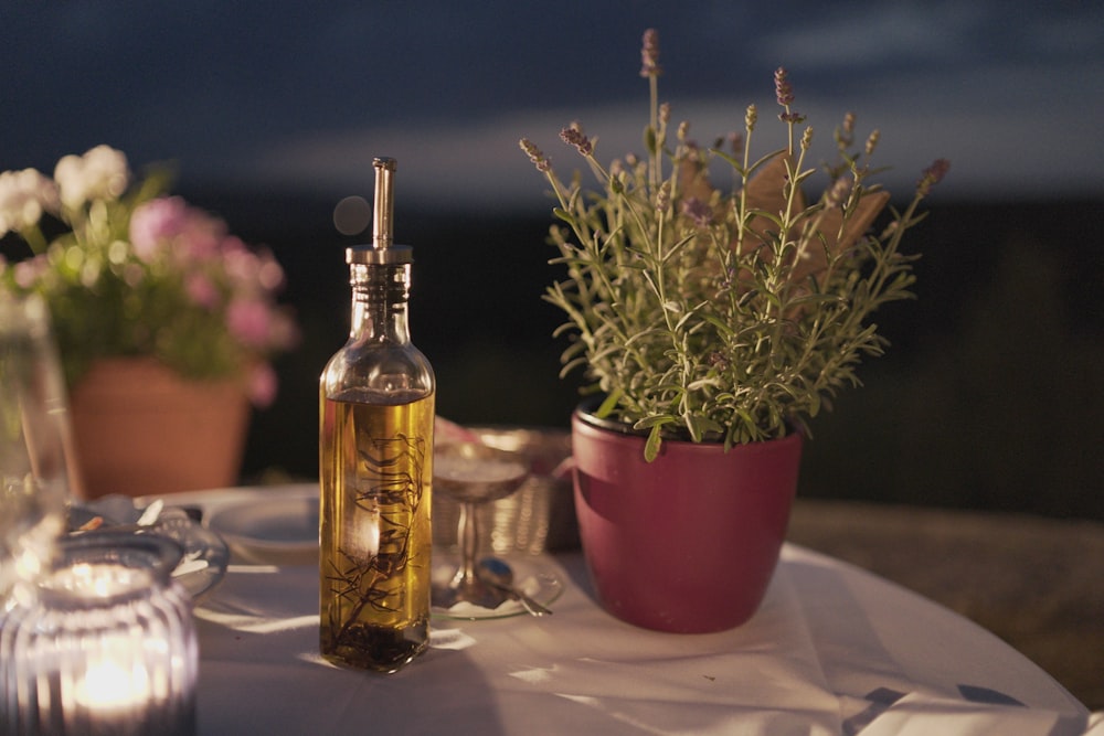 clear glass bottle beside plant