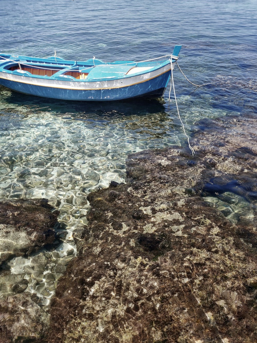 blue and white boat on shore during daytime