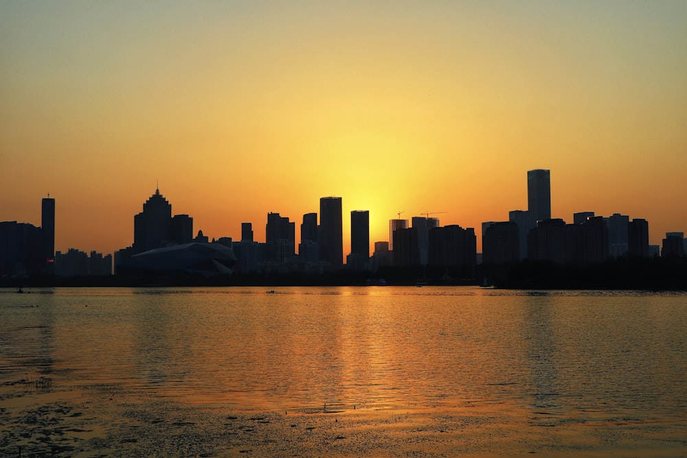 silhouette photo of city buildings near body of water