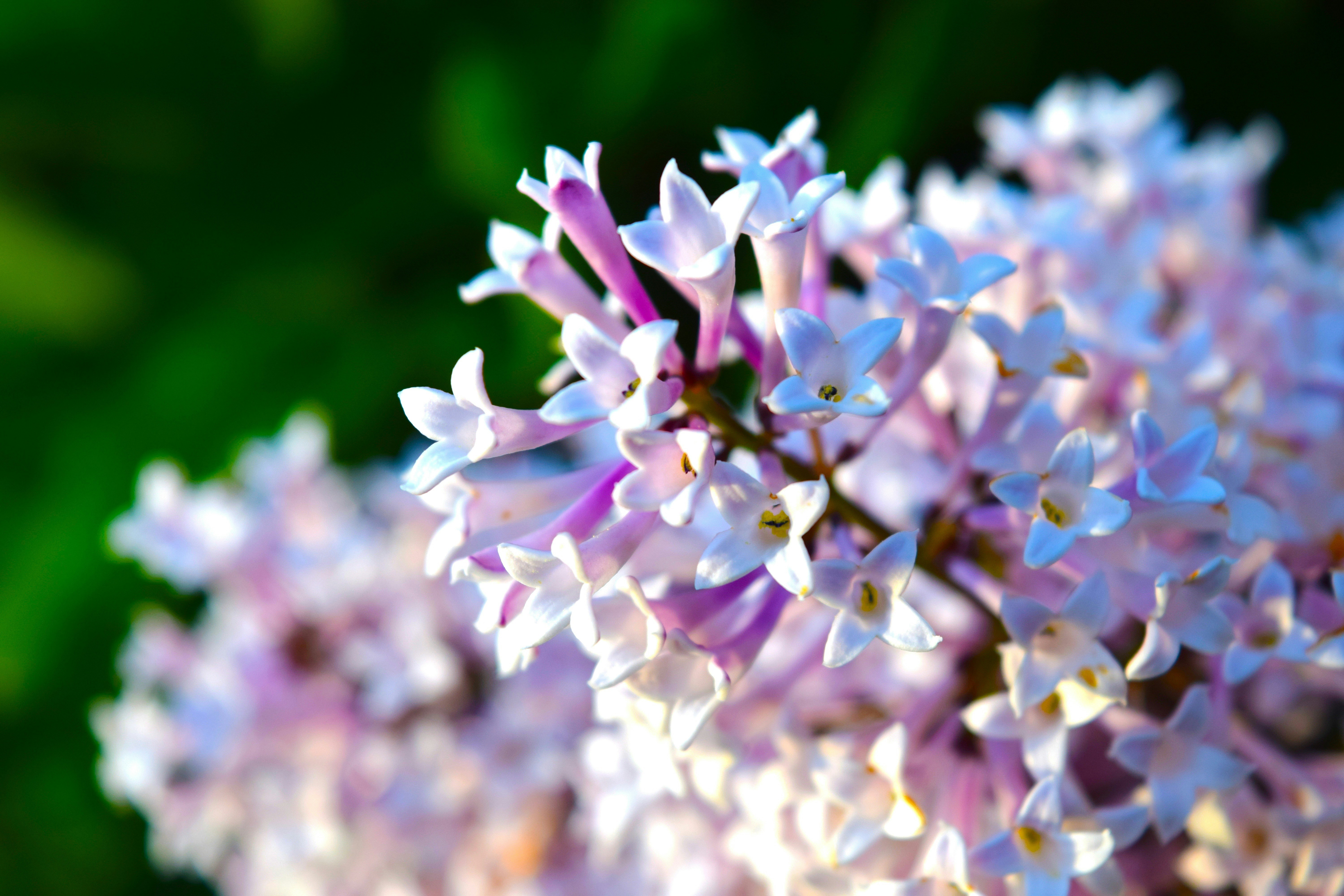 Photo by courtney_codes