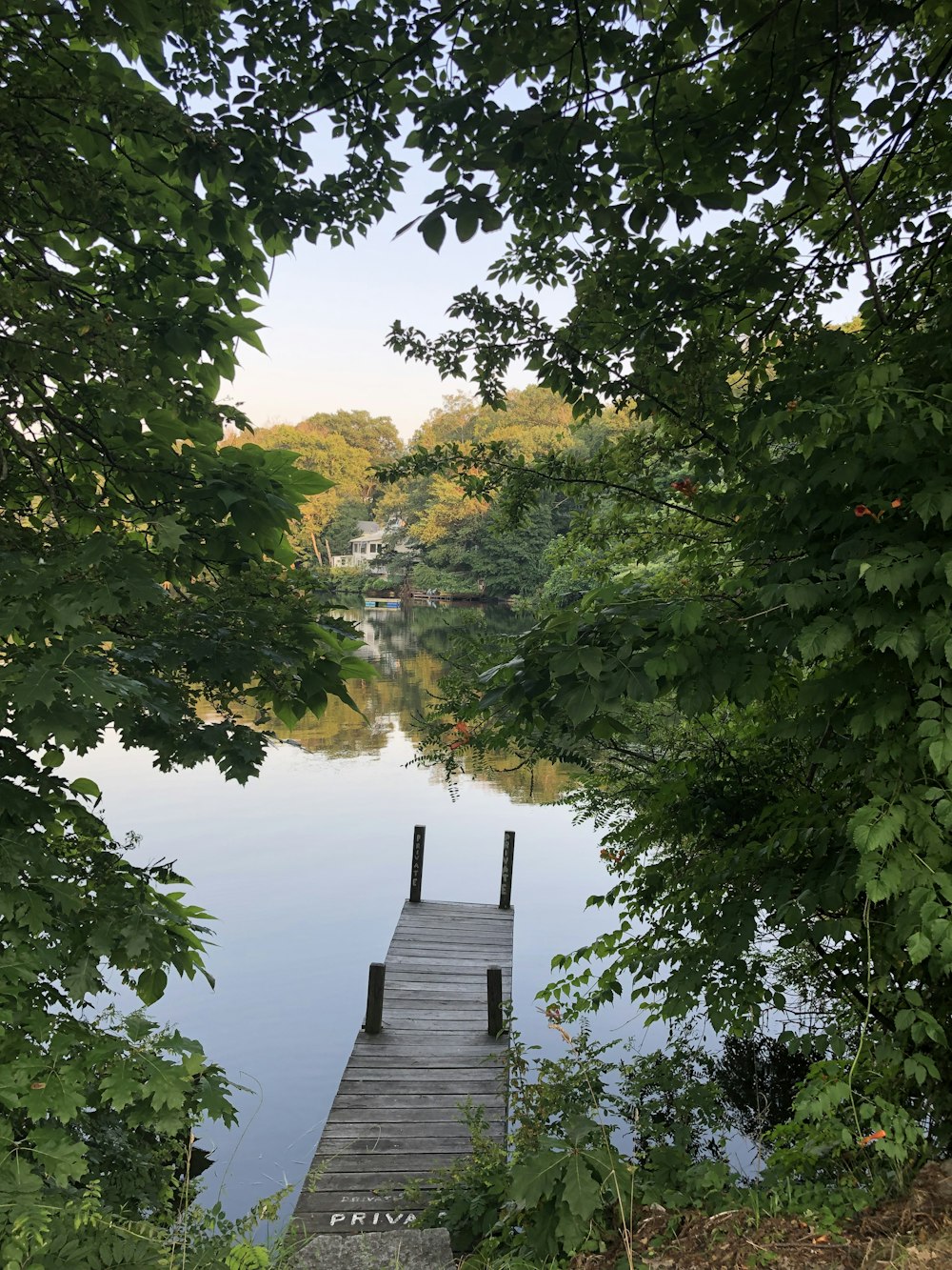 brown wooden dock during daytime