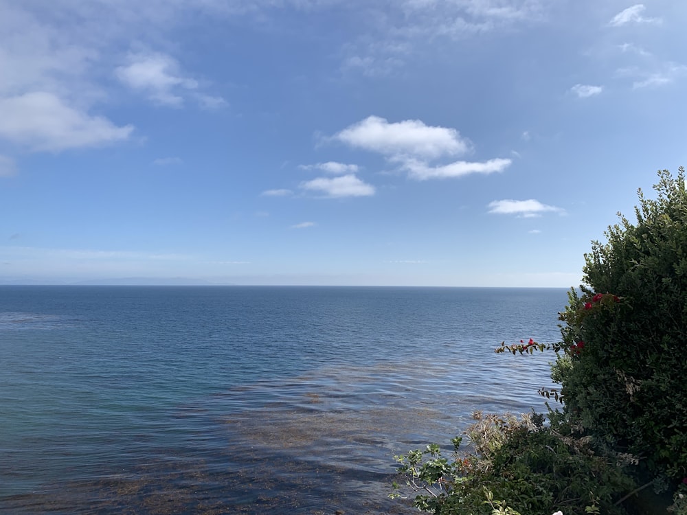 blue sea under blue sky