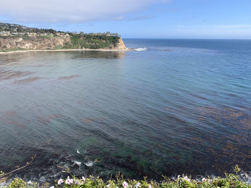 body of water at daytime