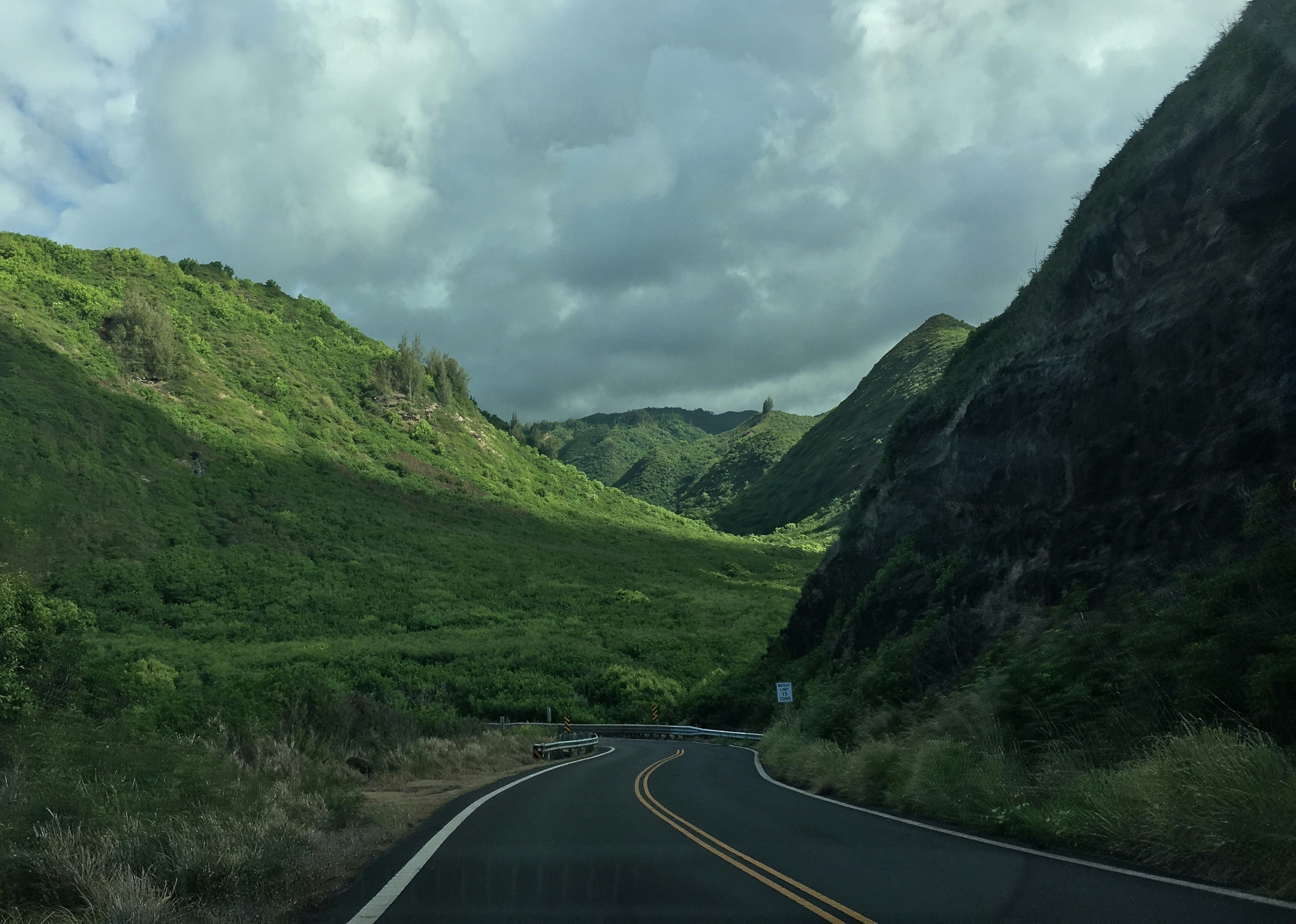 My husband and I were keen to take the road less traveled in Maui, and this certainly was part of it. I almost felt like we were in northern England instead of a Pacific island. It was lovingly green. 