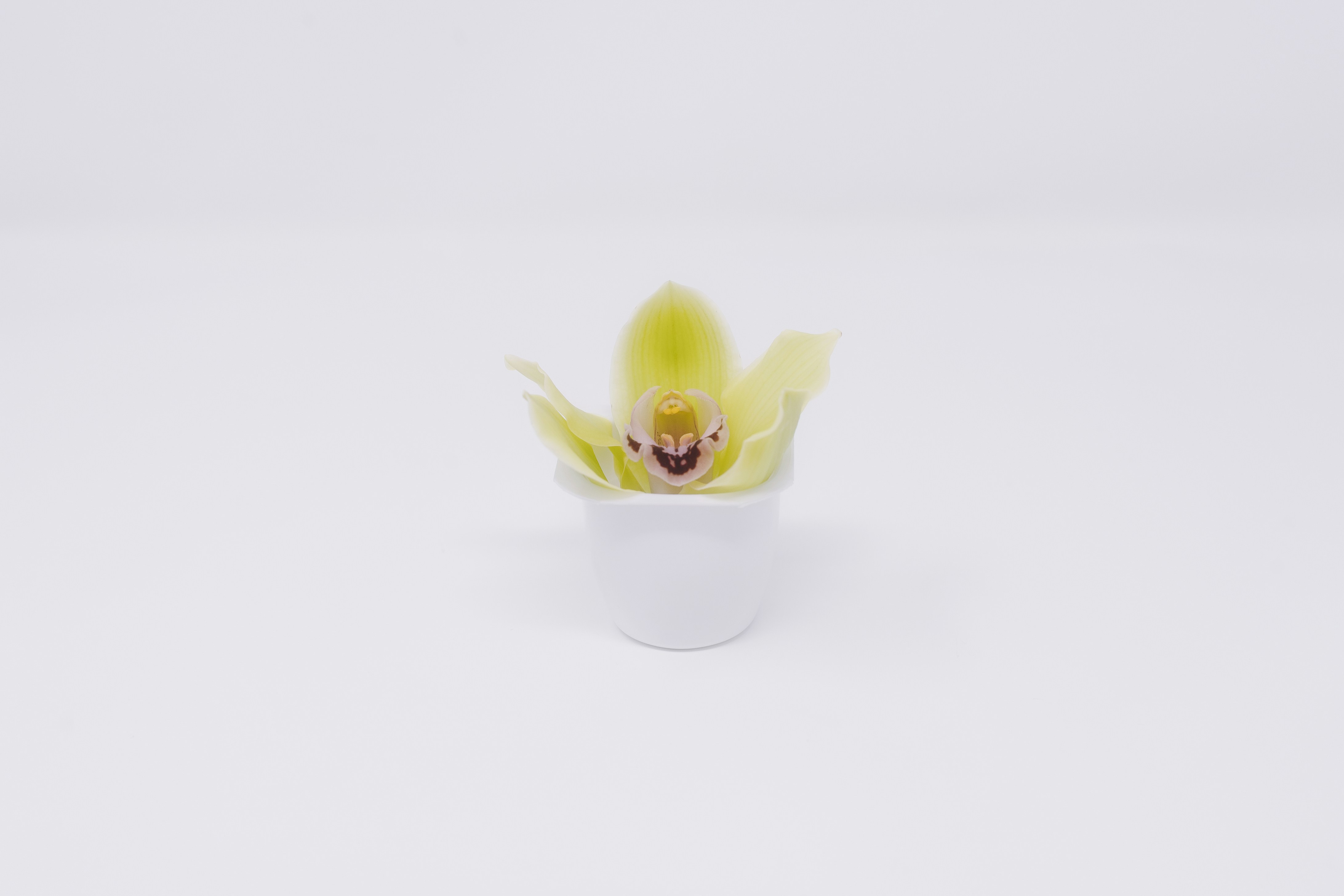 저금리 대출 비교, 당신에게 맞는 대출을 쉽게 찾는 법