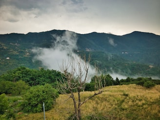 green mountain at daytime