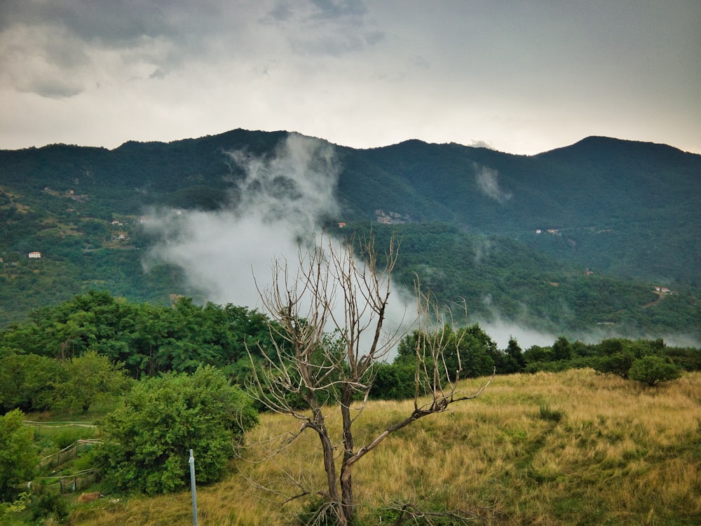 green mountain at daytime