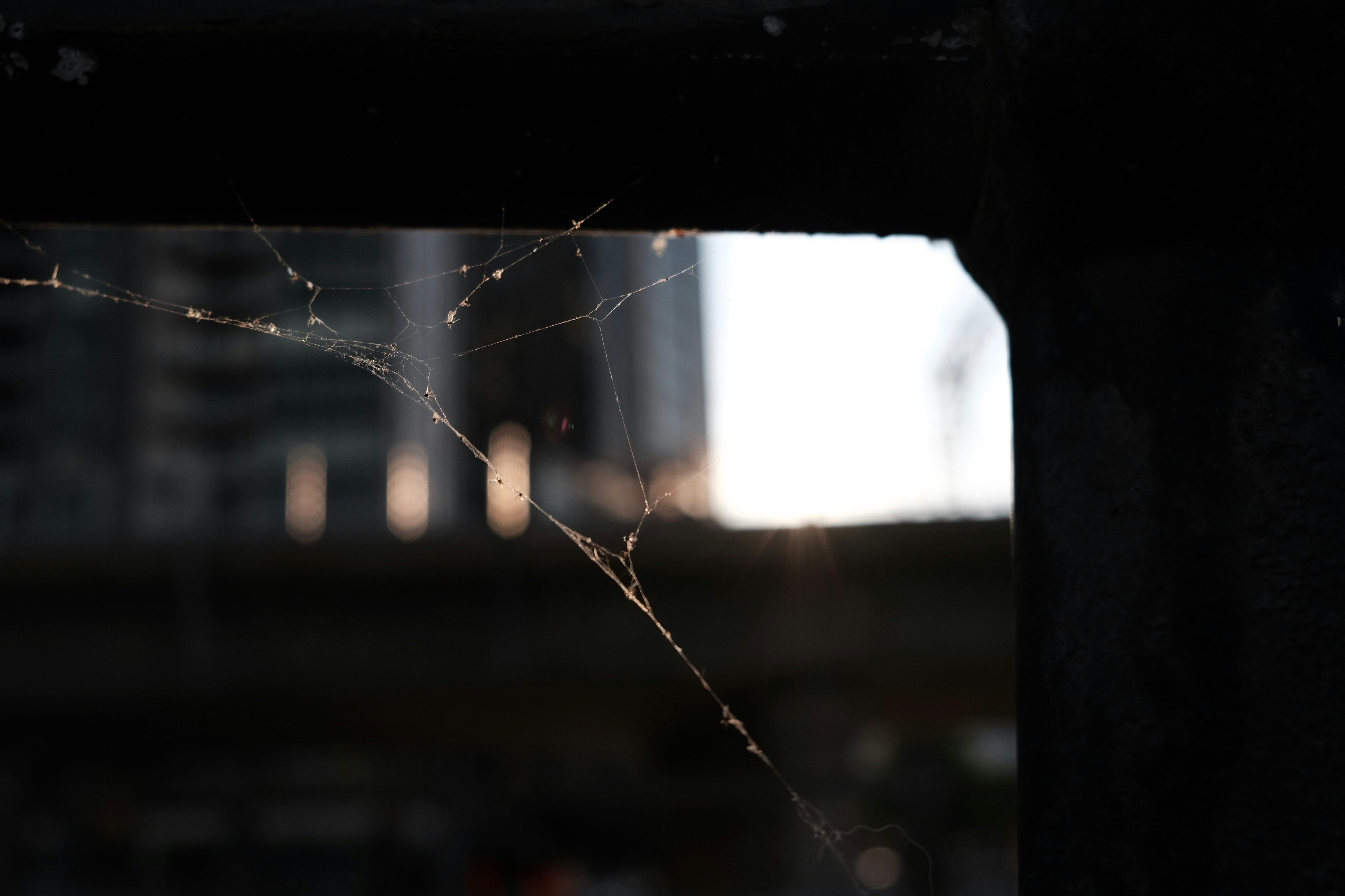 a spider web on the side of a building, 