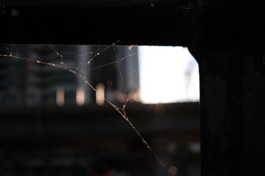 a spider web on the side of a building,